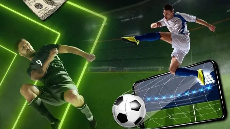 7M cung cấp hệ thống đường dẫn chất lượng cao